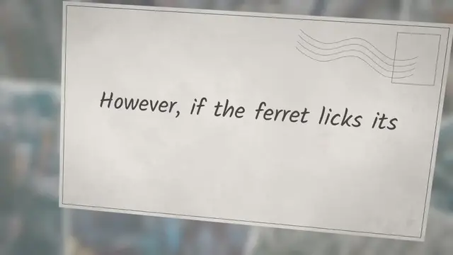 Video thumbnail for Why Does My Ferret Lick Me?