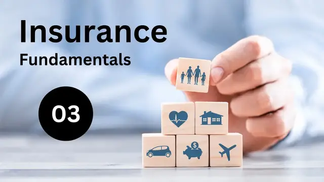 Video thumbnail for Principle of Indemnity | Principles of Insurance Contract | Lectures on Insurance Law - 03