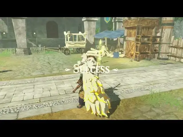 Video thumbnail for Hyrule Warriors: Age of Imprisonment - The Art of The Blade: Defeat Goron Chief Agraston Gameplay