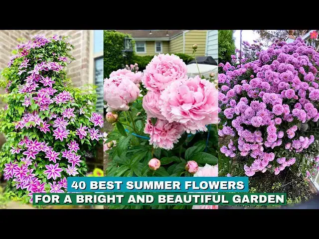 'Video thumbnail for 40 Best Summer Flowers for a Bright and Beautiful Garden'