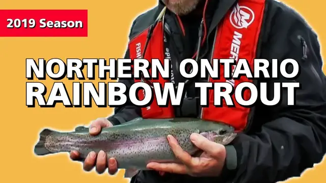 Video thumbnail for Northern Ontario Rainbow Trout | Fish'n Canada
