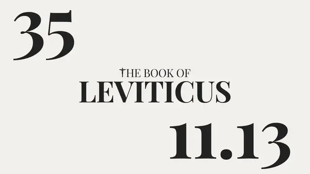 Video thumbnail for DAY 35 | The Book of Leviticus: Chapter 11-13