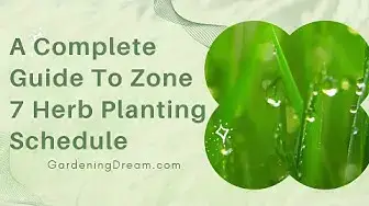 Video thumbnail for A Complete Guide To Zone 7 Herb Planting Schedule