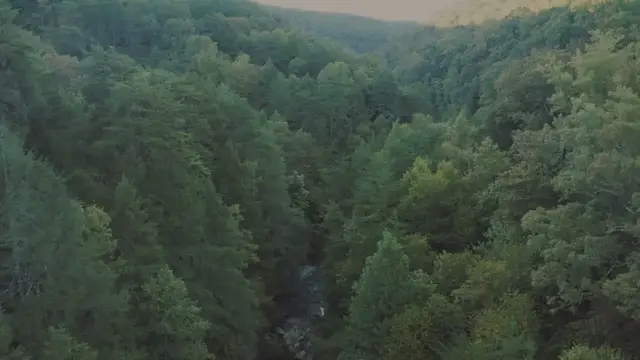 Video thumbnail for Guided Meditation | Path To Enlightenment Meditation