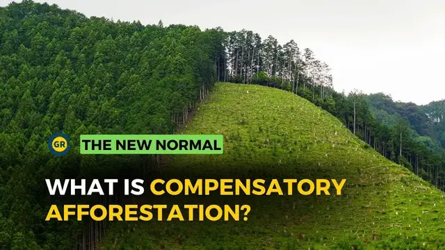 Video thumbnail for Compensatory Afforestation Rule of India