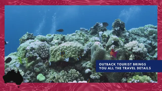 'Video thumbnail for Learn More About Australia With Outback Tourist - Great Barrier Reef'