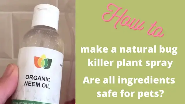 Video thumbnail for DIY Homemade Bug Spray. How to Save Fruit Plants from Bugs. Please subscribe to my pet channel