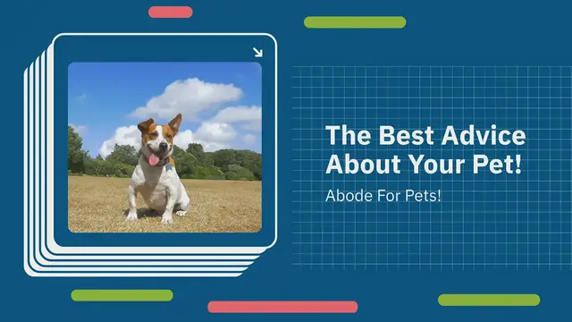 'Video thumbnail for Abode For Pets Site Wide Video'