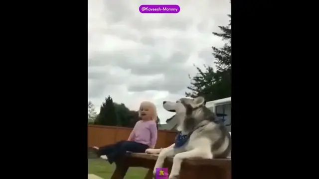 Video thumbnail for Cute funny baby videos memes #shorts #cutebaby #babyvideos #mom 45