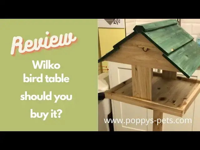Video thumbnail for Review of £16 Wilko Easy Clean DIY Bird Table -  will a cheap bird table stand the test of time