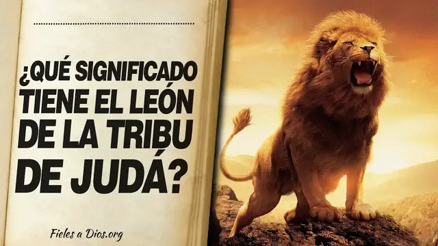 Video thumbnail for 🙏 ¿Qué Significado TIENE EL LEÓN DE LA TRIBU DE JUDÁ? 📖