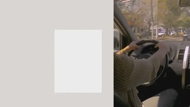 Video thumbnail for Seguro de auto El Palacio de Hierro ¿Es la mejor opción?