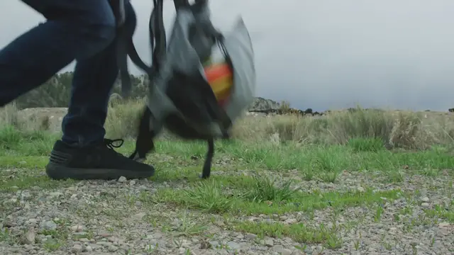 'Video thumbnail for Welcome To Discing Daily'