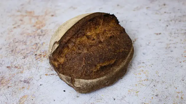 Video thumbnail for Can you bake a sourdough bread with 100% whole grain wheat flour? | Foodgeek