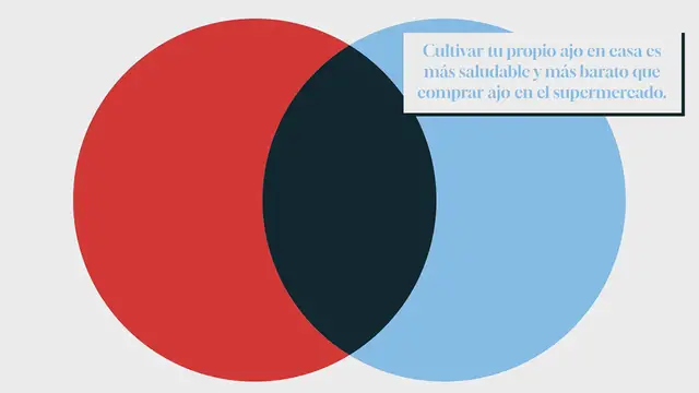 Video thumbnail for Cómo plantar y cosechar ajos paso a paso