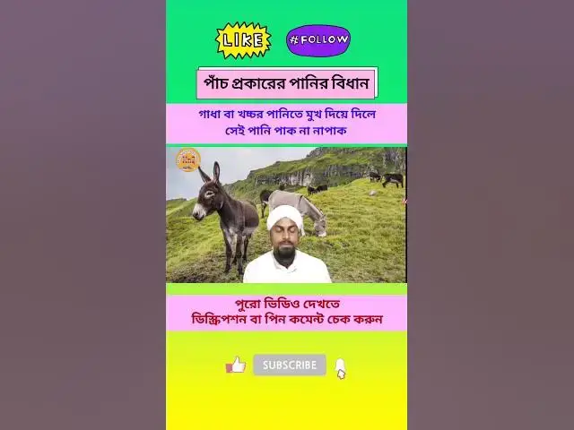 Video thumbnail for গাধা ও খচ্চরের পান করা পানি দ্বারা অযূ বা গোসলের হুকুম? পানি কত প্রকার? পানির বিধান কি?(Part-5)#পানি