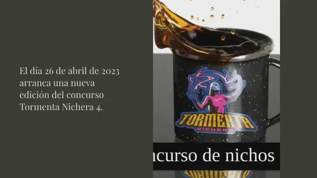 Video thumbnail for Concurso de nichos 2023 | #TormentaNichera4 de SEOwarriors