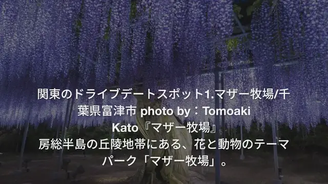 'Video thumbnail for 【関東】春デートに最適♡気分も明るくなるドライブスポット10選'