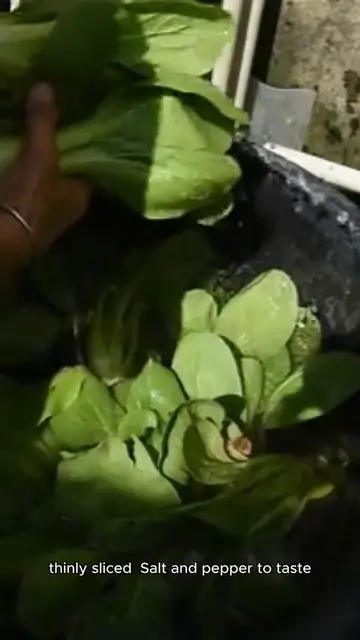 'Video thumbnail for spinach recipe'