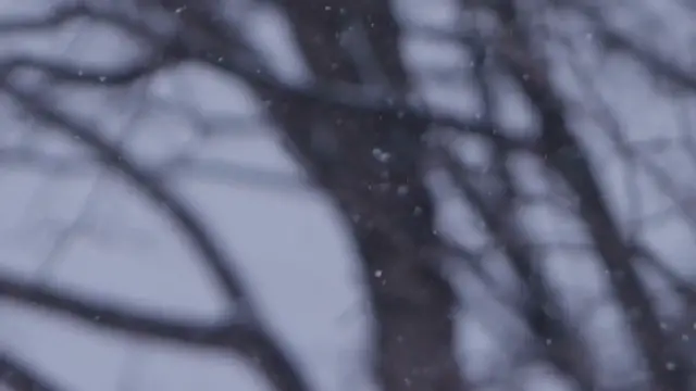 Video thumbnail for Buffalo Weather Snow Forecasts, Winter Storm Warnings, & Travel Advisories