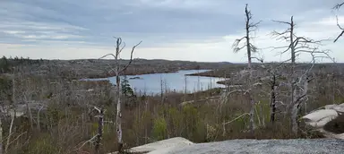 'Video thumbnail for Flat Lake - McIntosh Run Singletrack Trails in Halifax, NS'
