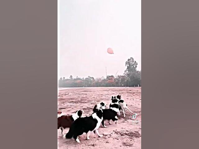 Video thumbnail for ١٩ يناير، ٢٠٢٢