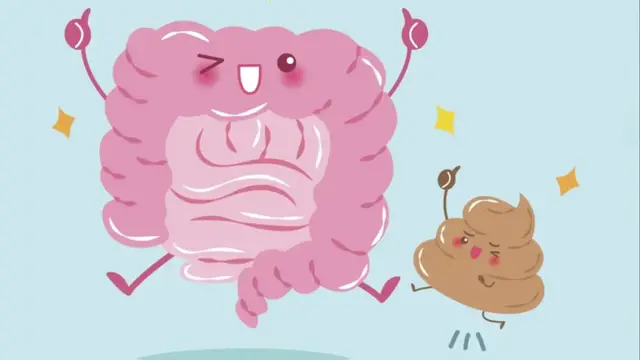 Video thumbnail for How Much Poop Can Your Body Actually Hold?