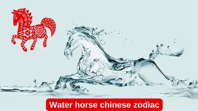 Video thumbnail for Water horse chinese zodiac-Video blog