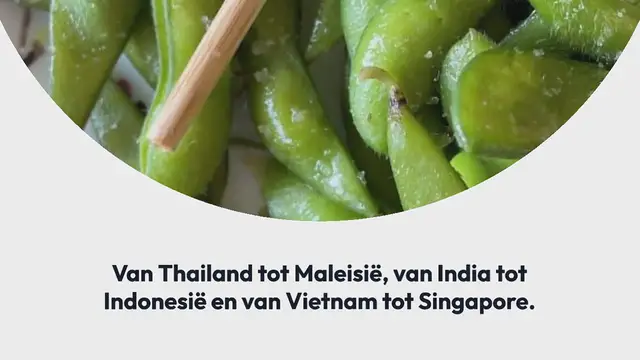 Video thumbnail for Aziatisch snack buffet of borrelplank