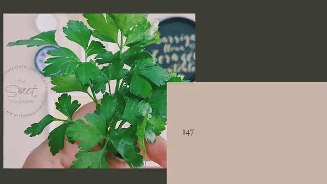 Video thumbnail for MI HUERTO EN LA TERRAZA