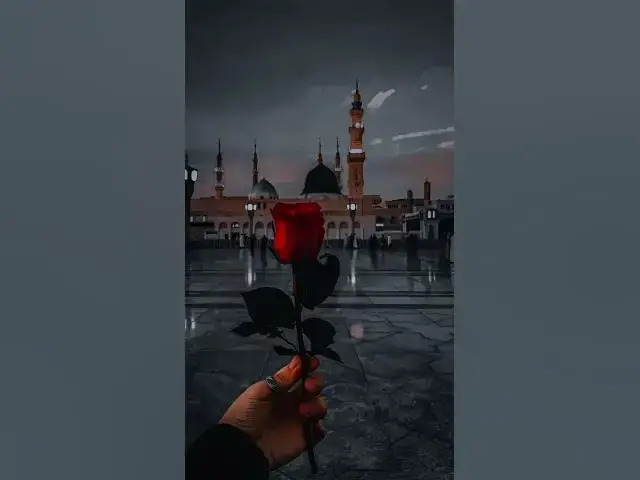 Video thumbnail for new video viral trading for you guys video viral trading 💖 for you 🔥 Gaza help #trader