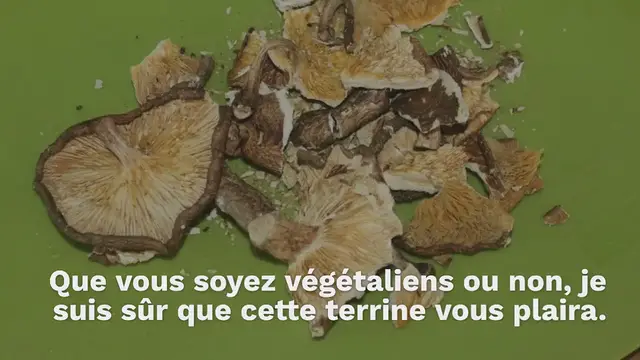 Video thumbnail for TERRINE « CRISE DE FOI(E) »