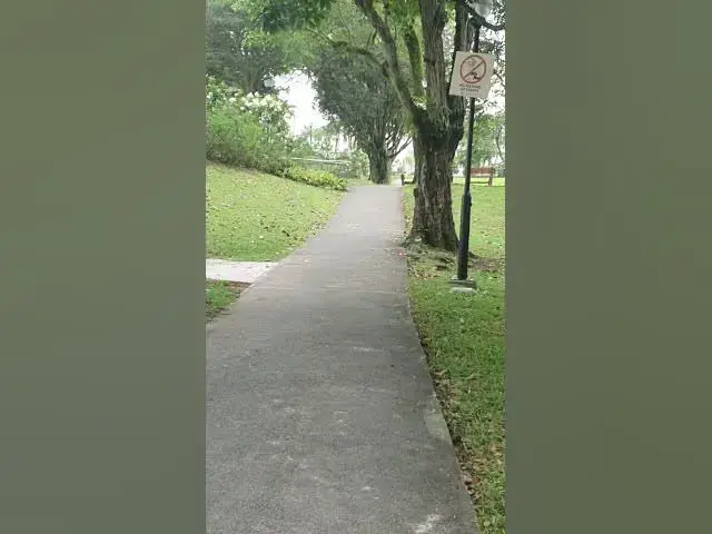 Video thumbnail for Somewhere in Singapore