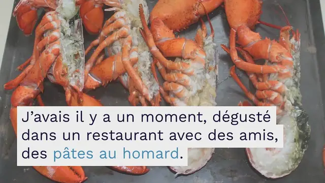 Video thumbnail for PÂTES AU HOMARD