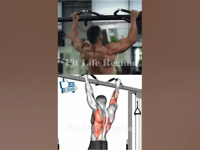 Video thumbnail for 5 Best Back Exercises For Building Muscle Mass and Strength