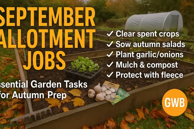 'Video thumbnail for 🌱 September Allotment Jobs | Essential Garden Tasks for Autumn Prep 🍂'
