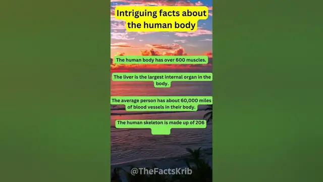 Video thumbnail for Intriguing Facts About The Human Body