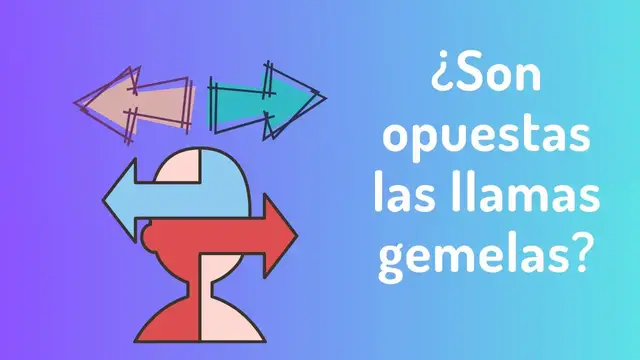 Video thumbnail for ¿Son opuestas las llamas gemelas? ¿Se atraen o son más parecidas de lo que crees?