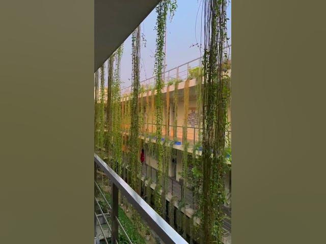 Video thumbnail for Dhaka international University beauty ❤️🌺👌 #diu #university