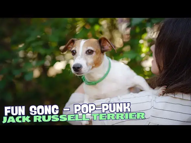 Video thumbnail for Jack's On The Run" 🎶