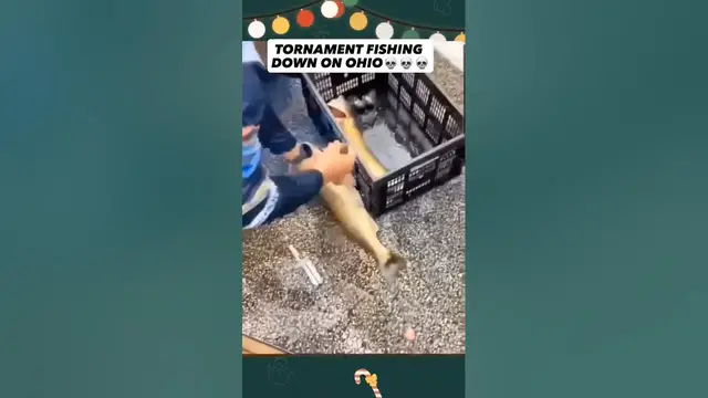 Video thumbnail for Swag Like Ohio Meme 14 #fishingfails #ohio #swaglikeohio