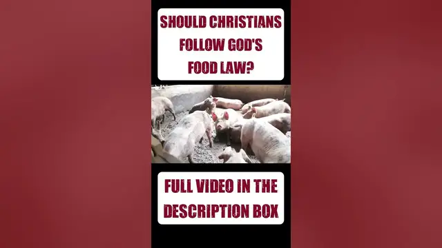 Video thumbnail for Should Christians follow God's food law?