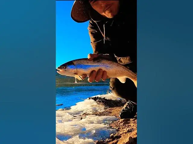 Video thumbnail for Thank You Big Bear Lake  🎣🤙