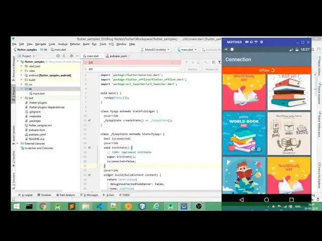 Video thumbnail for Check Netowork Connectivity Status Online/Offline in Flutter