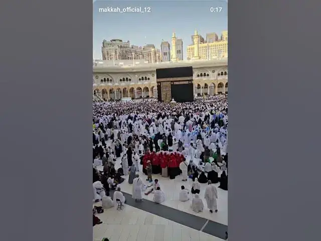 Video thumbnail for subah uthate Hee ye Kalmiyat ped Le bhai# shorts#