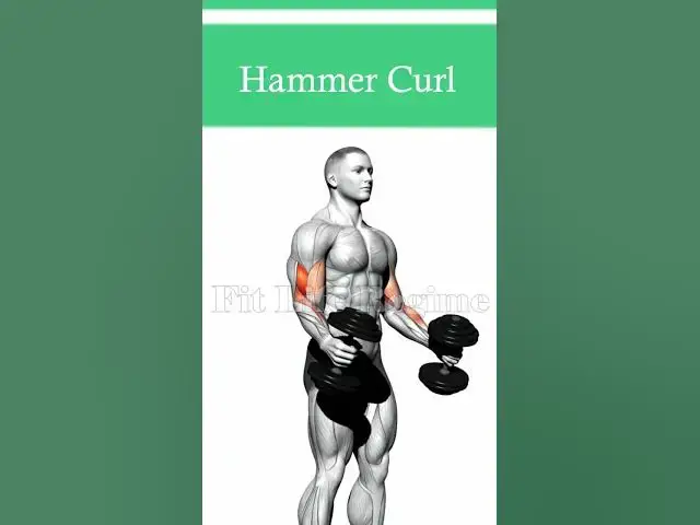 Video thumbnail for Long Head Bicep Dumbbell Exercises
