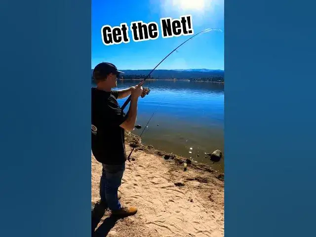 'Video thumbnail for Hooked Up! Trout Strike Right from Shore! #bigbearlakefishing'