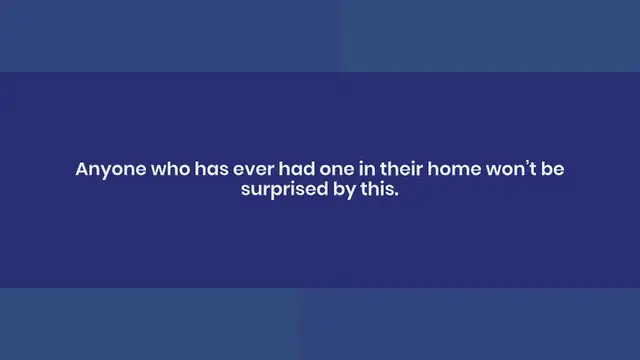 Video thumbnail for The 10 best collars for your Golden Retriever