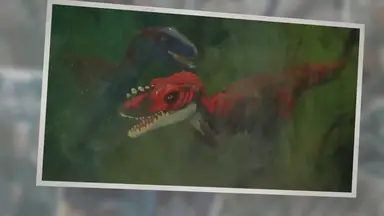 'Video thumbnail for True Meaning And Right Interpretation Of Dreams About Dragon'