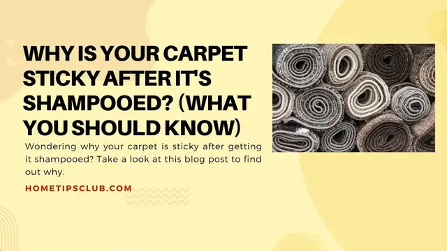 Video thumbnail for Why is your carpet sticky after shampooing? (Explained)